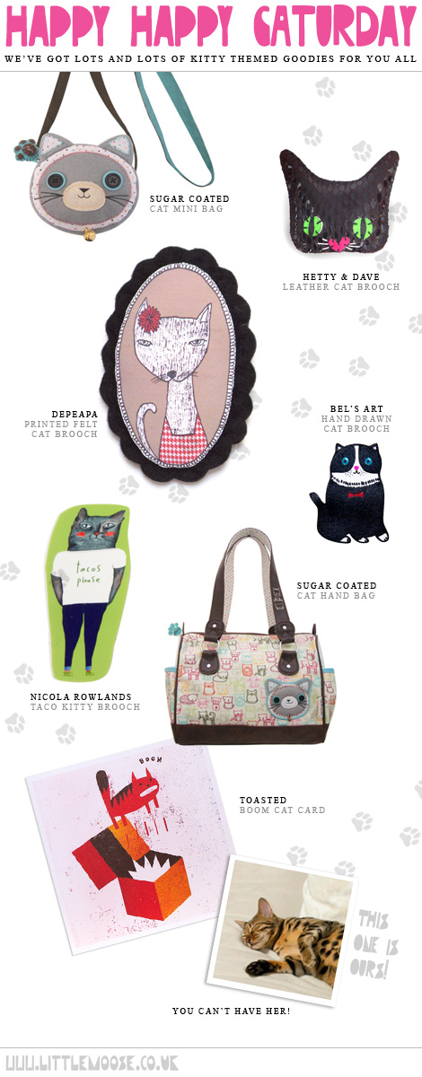 Its Caturday at Little Moose