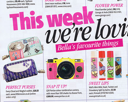 Wagtail wallet in Bella magazine