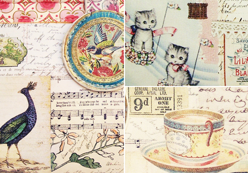 Songbird by Disaster Designs