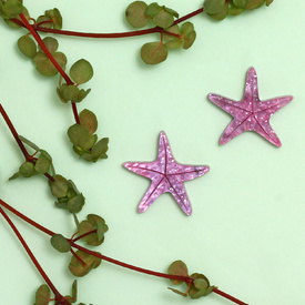 Starfish stud earrings